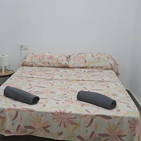 In Homestay Alicante